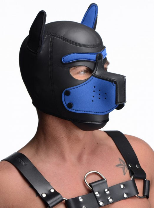 Spike Neoprene Puppy Hood